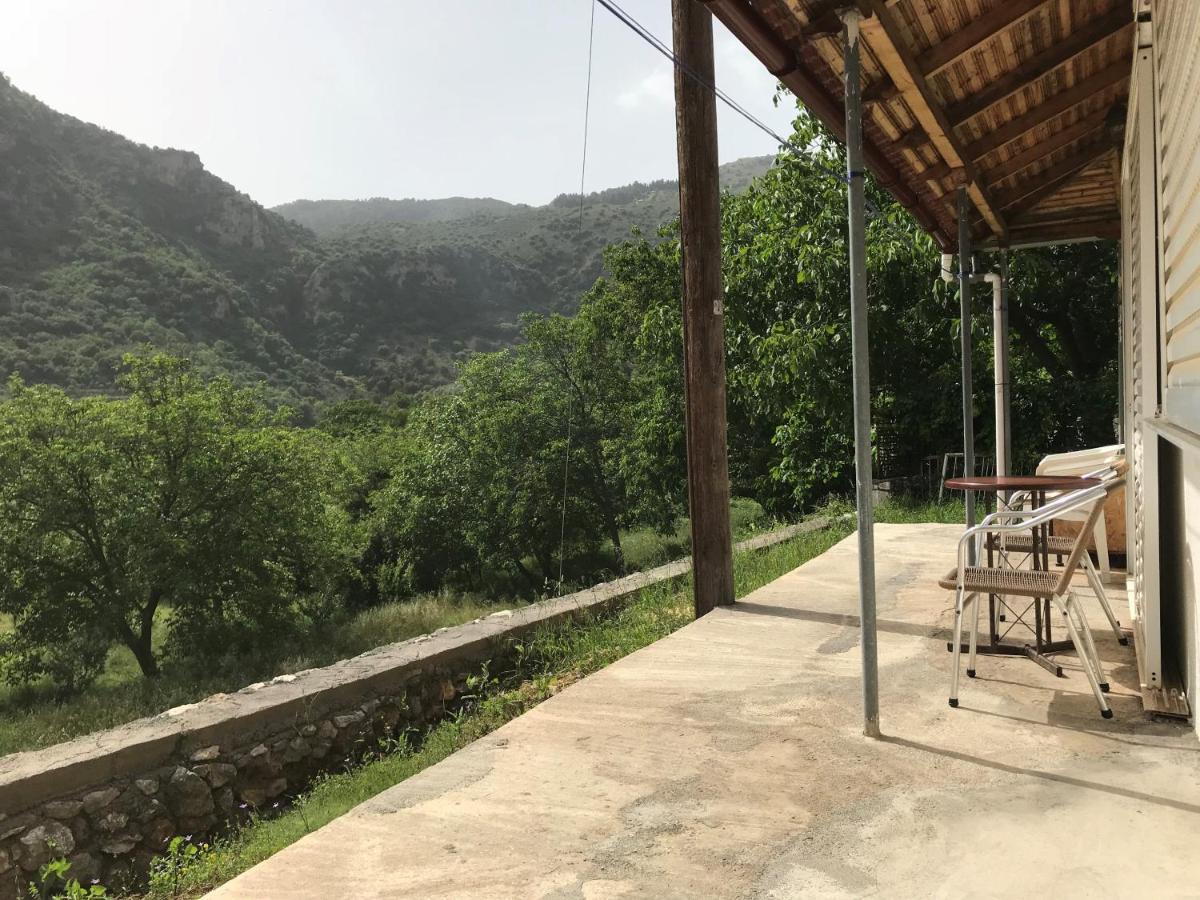 Thanasis House ディミツァナ エクステリア 写真